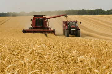 Экспортную пошлину на пшеницу из России с 16 февраля снизили до $92,8